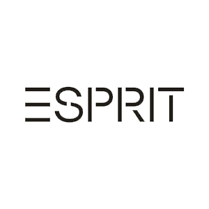 ESPRIT Workshop Seminarraum im Eisenwerk Logo